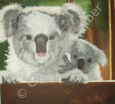 Acryl koala